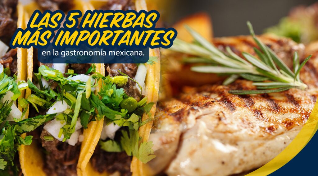 Hierbas-aromaticas-que-no-pueden-faltar-en-tu-cocina