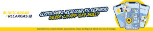 Servicio por App Gas Noel 